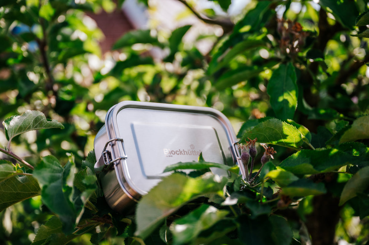 Closed stainless steel lunch box resting in the branches of an apple tree