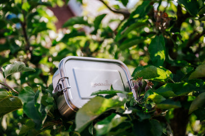 Closed stainless steel lunch box resting in the branches of an apple tree