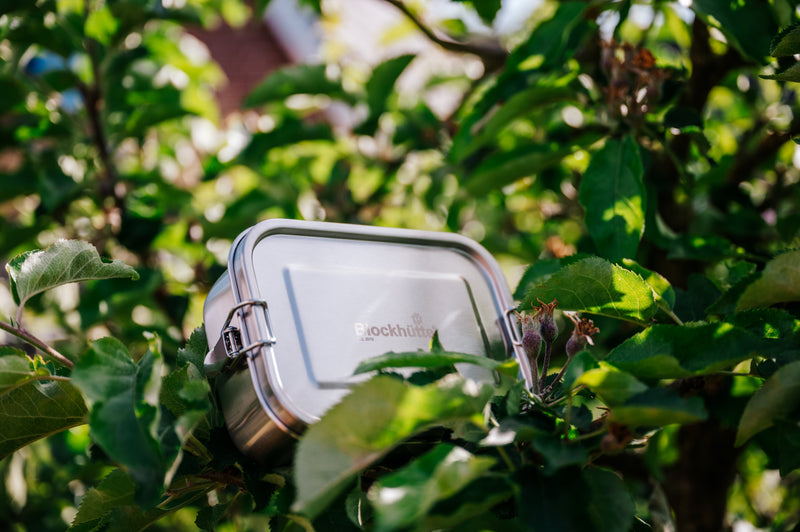 Closed stainless steel lunch box resting in the branches of an apple tree
