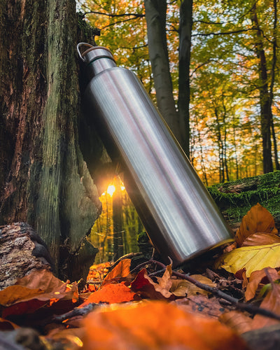 Stainless steel water bottle leaning against a tree trunk in an autumn forest